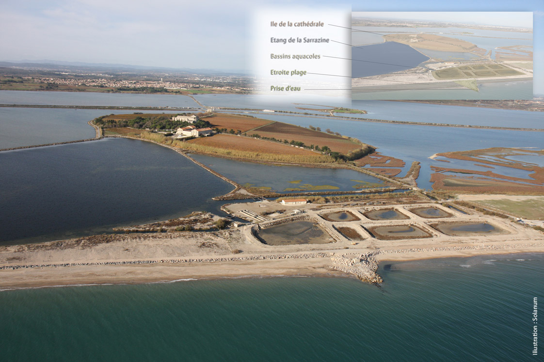 Insertion paysagère des travaux de protection du lido de Villeneuve-les-Maguelone